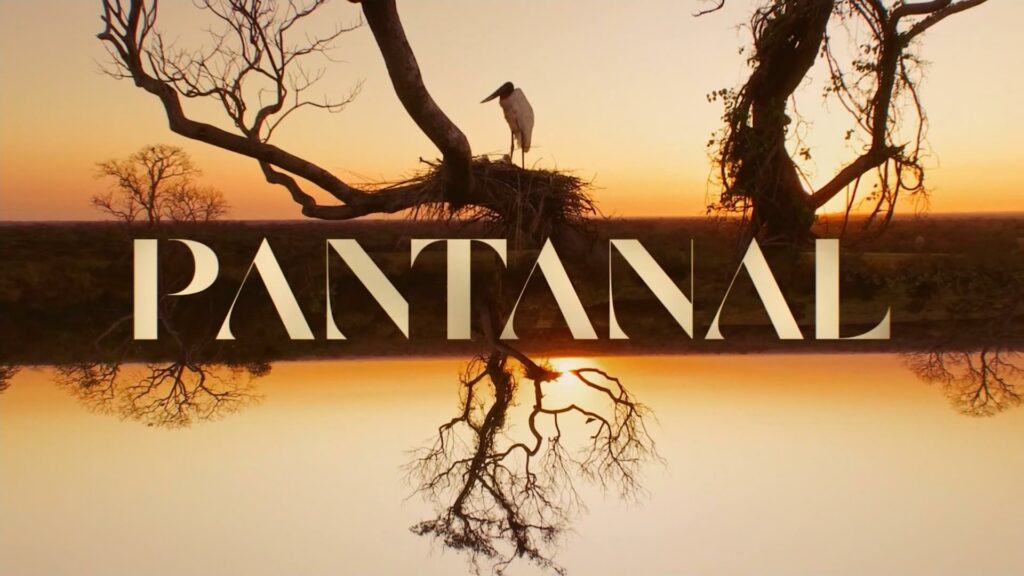 Imagem com logotipo da novela Pantanal