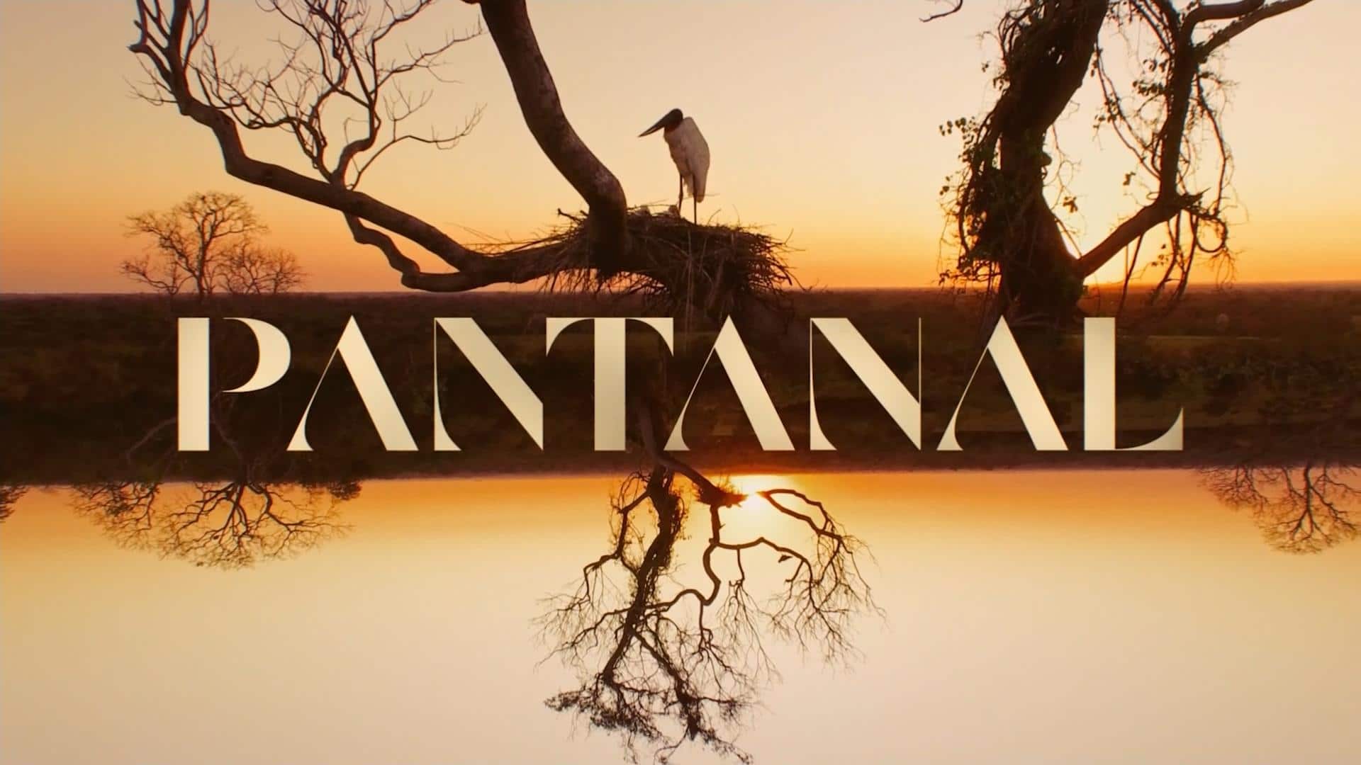 Novela 'Pantanal': Trindade surge para Alcides, faz alerta e deixa