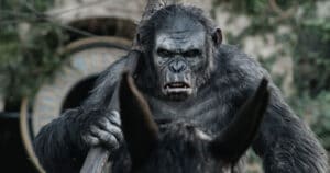 Cena do filme Planeta Dos Macacos: O Confronto que vai passar no CInemaço