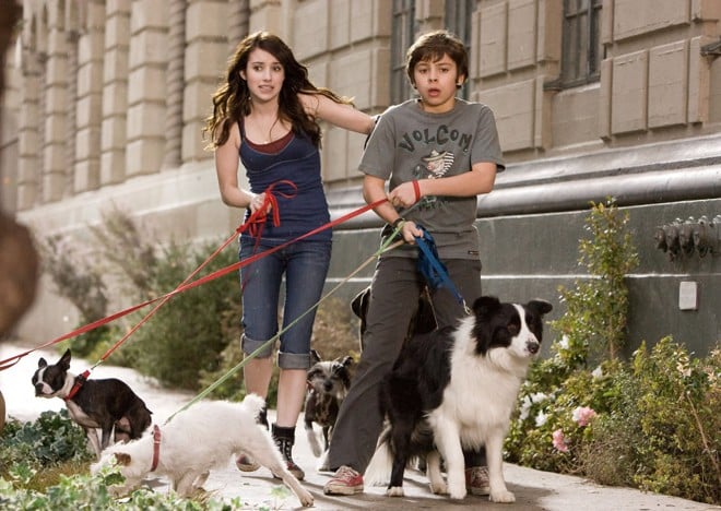 Um Hotel Bom Pra Cachorro é o filme que vai passar no Cinema de Graça deste domingo (30)