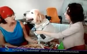 Imagem com foto do cachorro no programa Sensacionalista