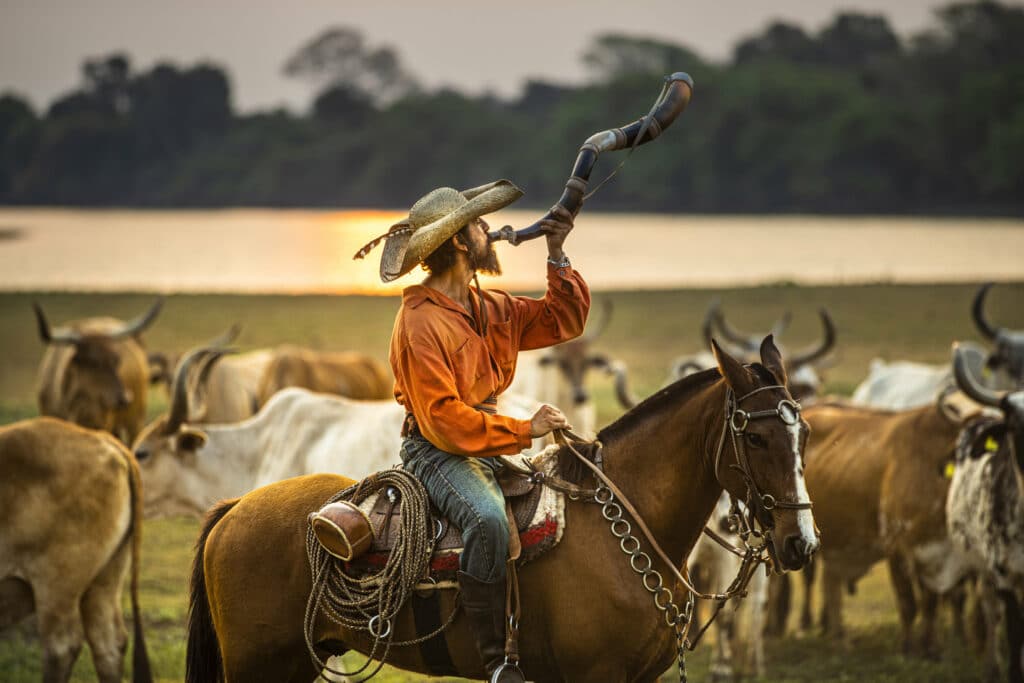 Cavalo pulando Pantanal 