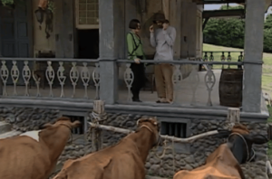 Catarina mostra as vacas que comprou para Petruchio em O Cravo e a Rosa