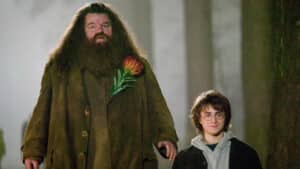Imagem com foto de Robbie Coltrane e Daniel Radcliffe em cena do filme Harry Potter