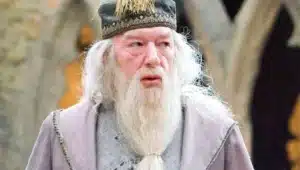 Foto Dumbledore de Harry Potter