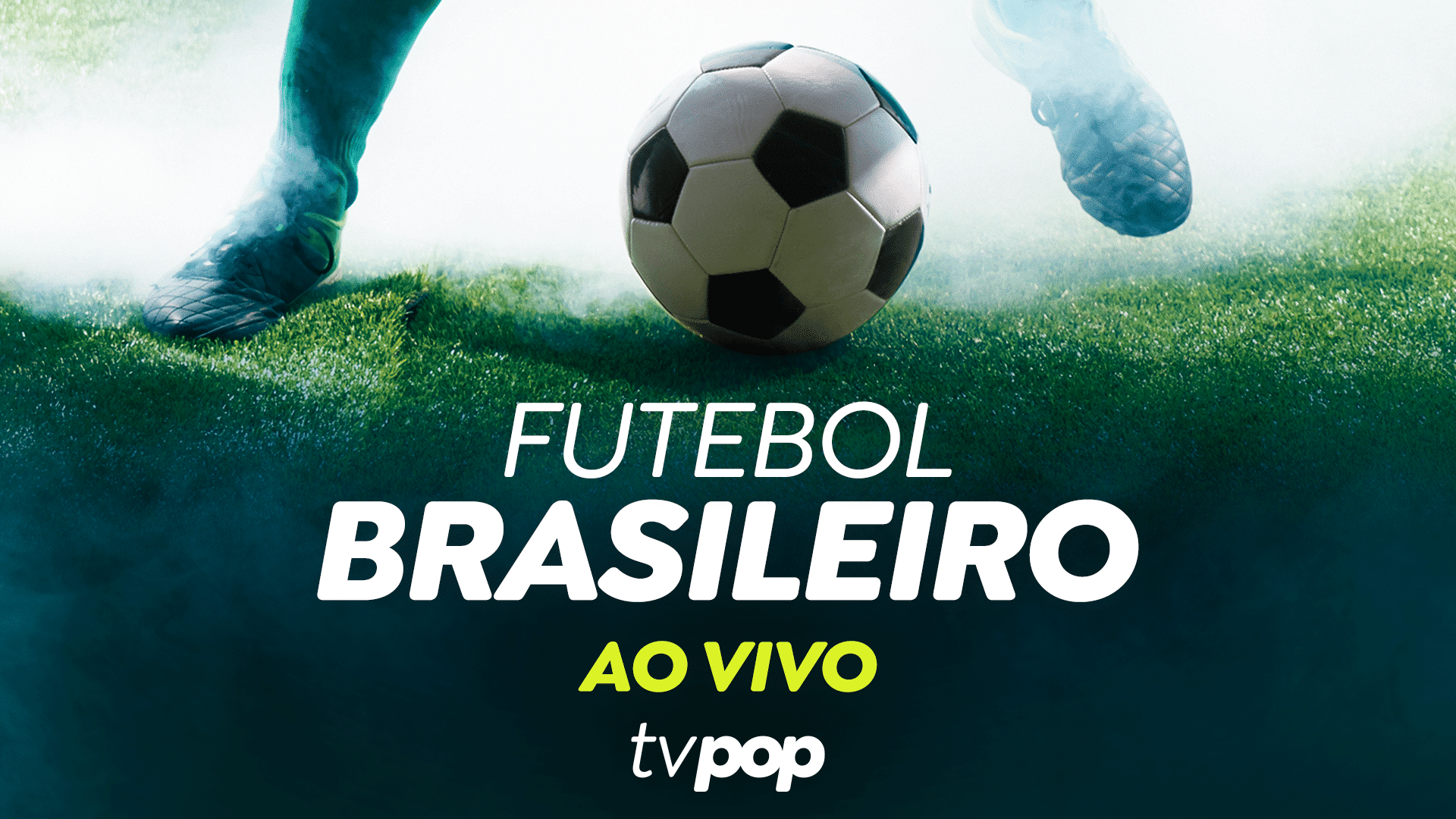 Campeonato Paulista Assista ao vivo e de graça ao jogo Palmeiras x BotafogoSP
