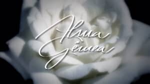Imagem com logotipo da novela Alma Gêmea