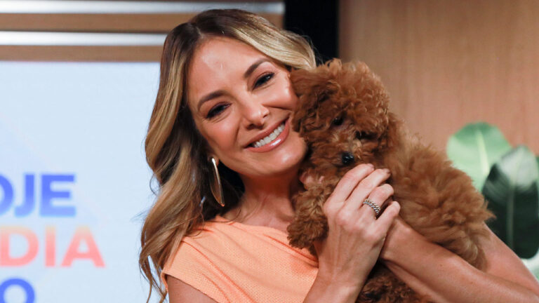 Ticiane Pinheiro sorri ao segurar um pequeno cachorro poodle marrom no cenário do programa Hoje em Dia da Record com telão ao fundo
