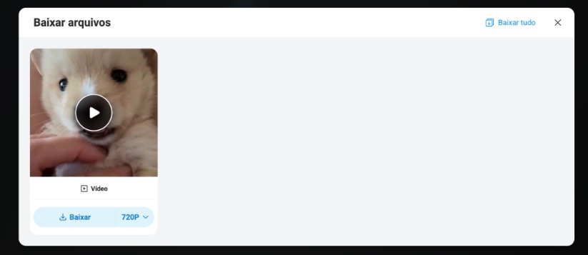 Foto de site para download de vídeos do Twitter.