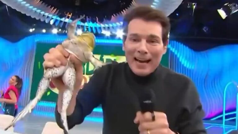 Celso Portiolli segura uma rã e um microfone no palco do Domingo Legal com cenário iluminado ao fundo
