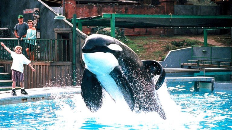 Orca salta para fora da água enquanto menino comemora durante cena do filme Free Willy