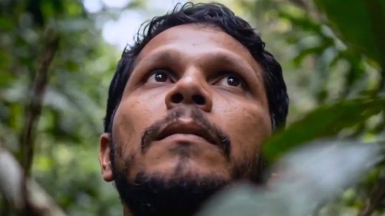 Homem com barba e cabelo curto olha para cima em meio à vegetação densa de floresta em imagem recriada por IA inspirada em Antonio Sena