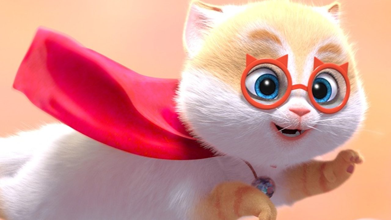 Foto da Sessão da Tarde