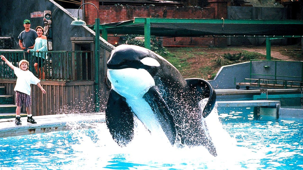 Orca salta para fora da água enquanto menino comemora durante cena do filme Free Willy