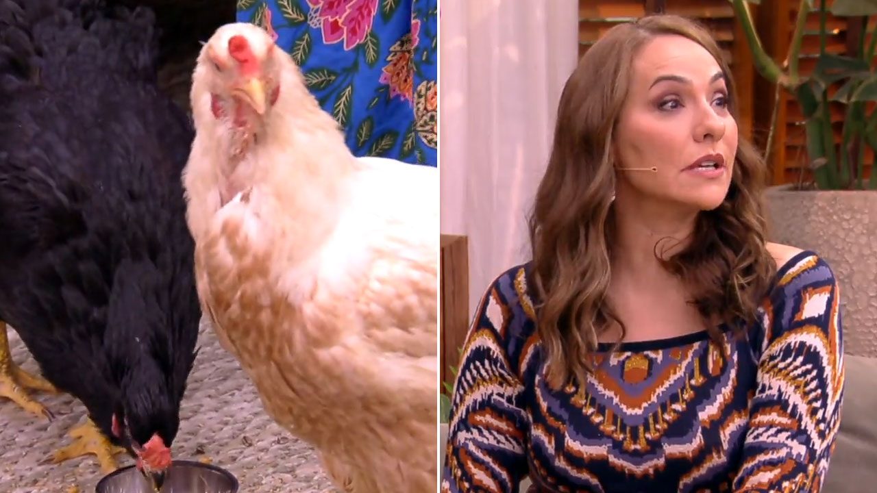 Montagem mostra galinhas ciscando de um lado e Maria Beltrão falando com microfone de lapela no É de Casa da Globo