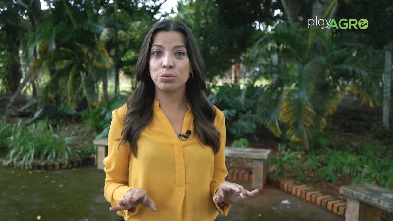 Luísa Nogueira é a apresentadora do Play no Agro, o Globo Rural da Band (foto: Reprodução)