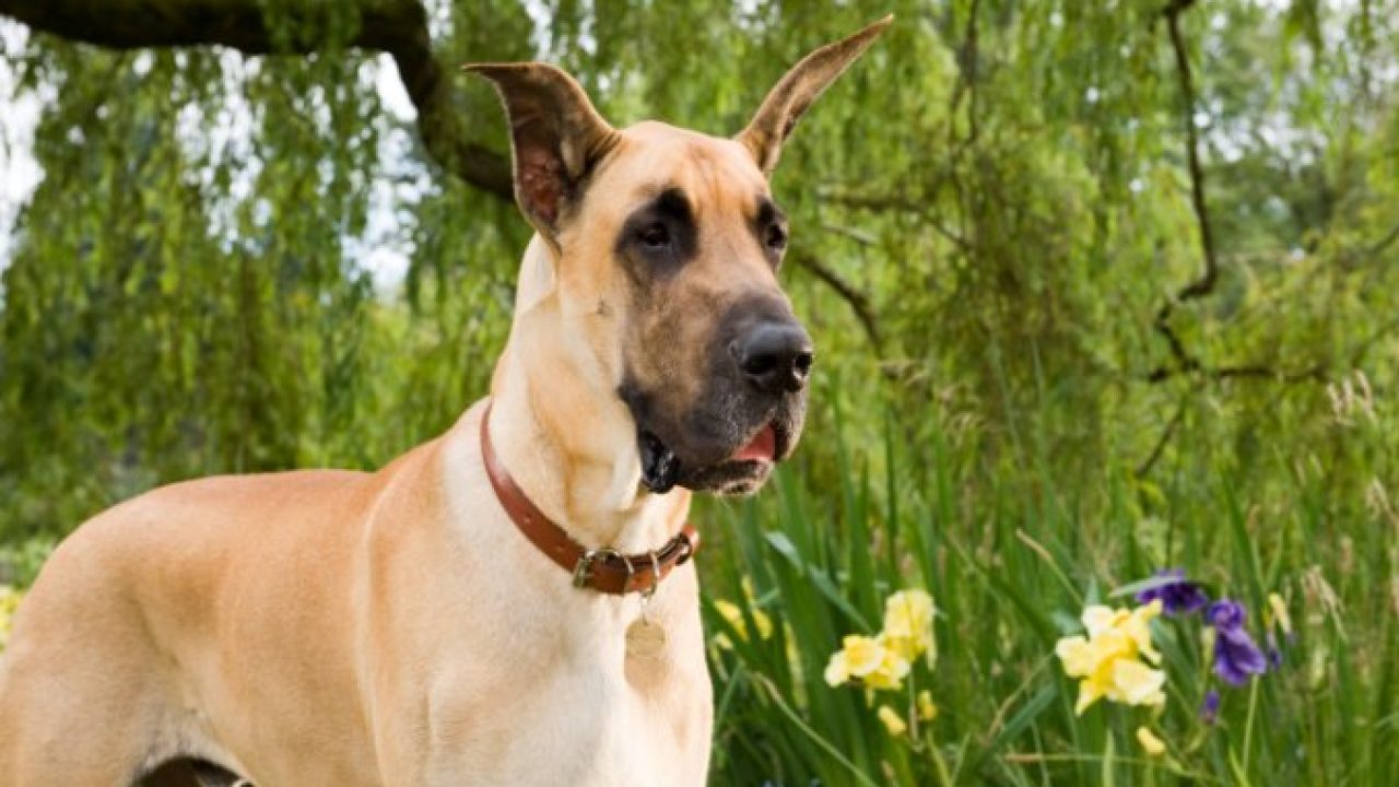 Foto do filme que vai passar na Tela de Sucessos