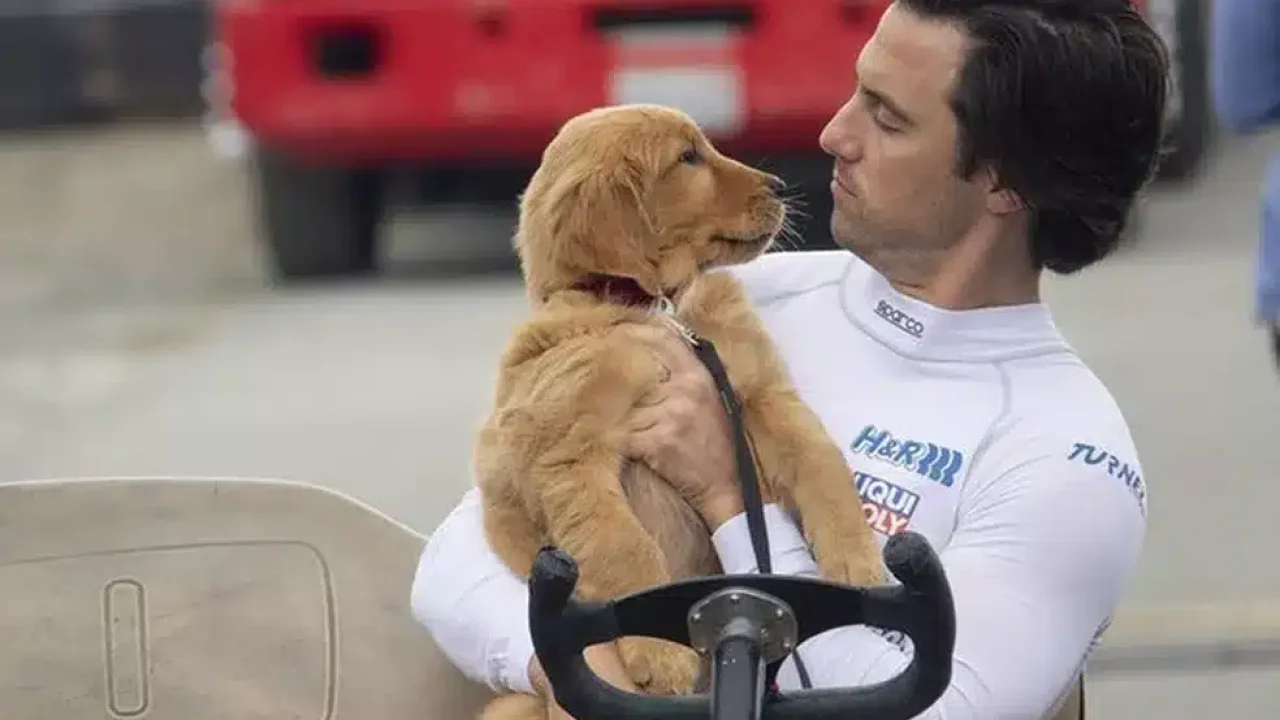 Cena do filme do Cinema 2023