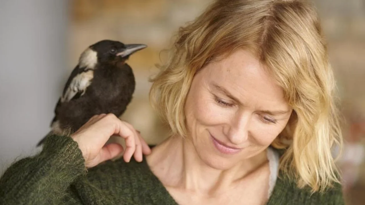 Um Milagre Inesperado